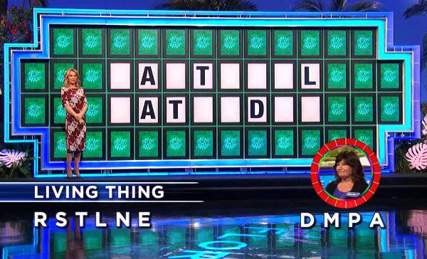 Marcy on Wheel of Fortune (2-7-2020)