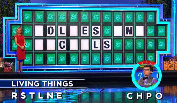 Ash on Wheel of Fortune (8-3-2020)